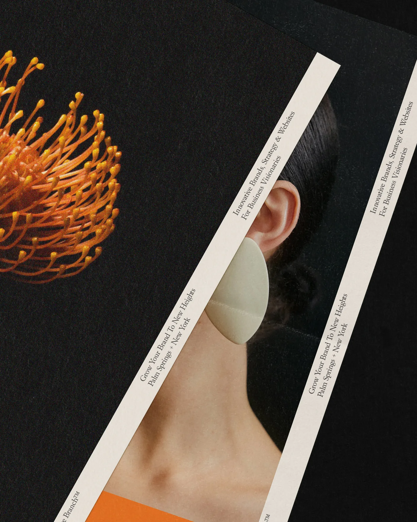 Editorial brand detail with type and neutral paper