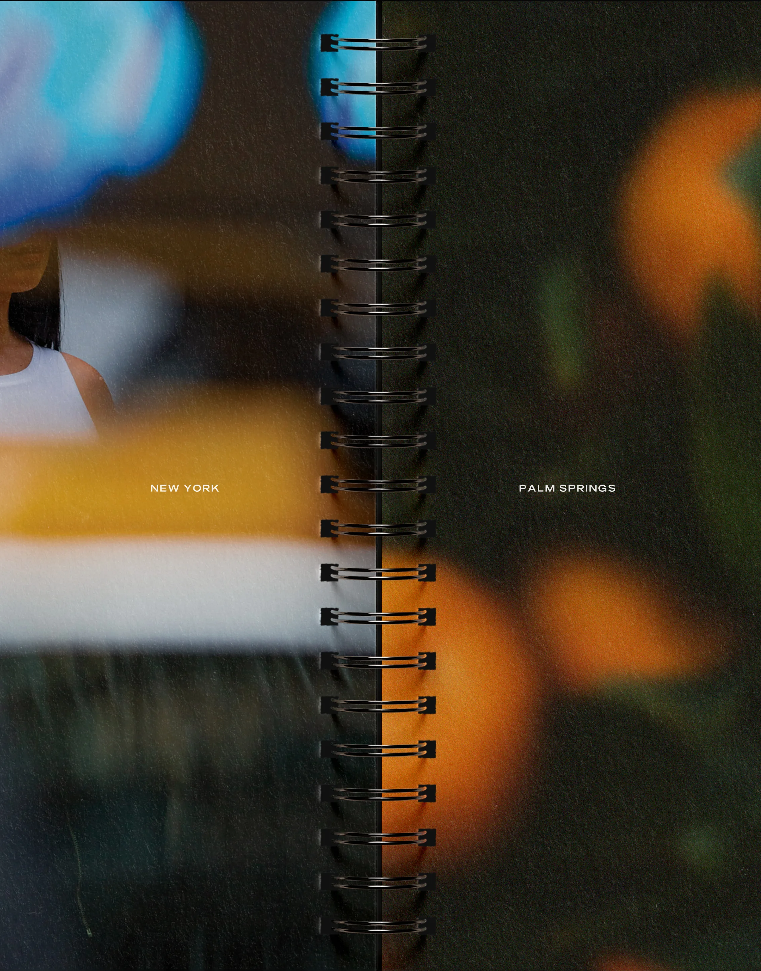 Wide photograph of Branch identity materials
