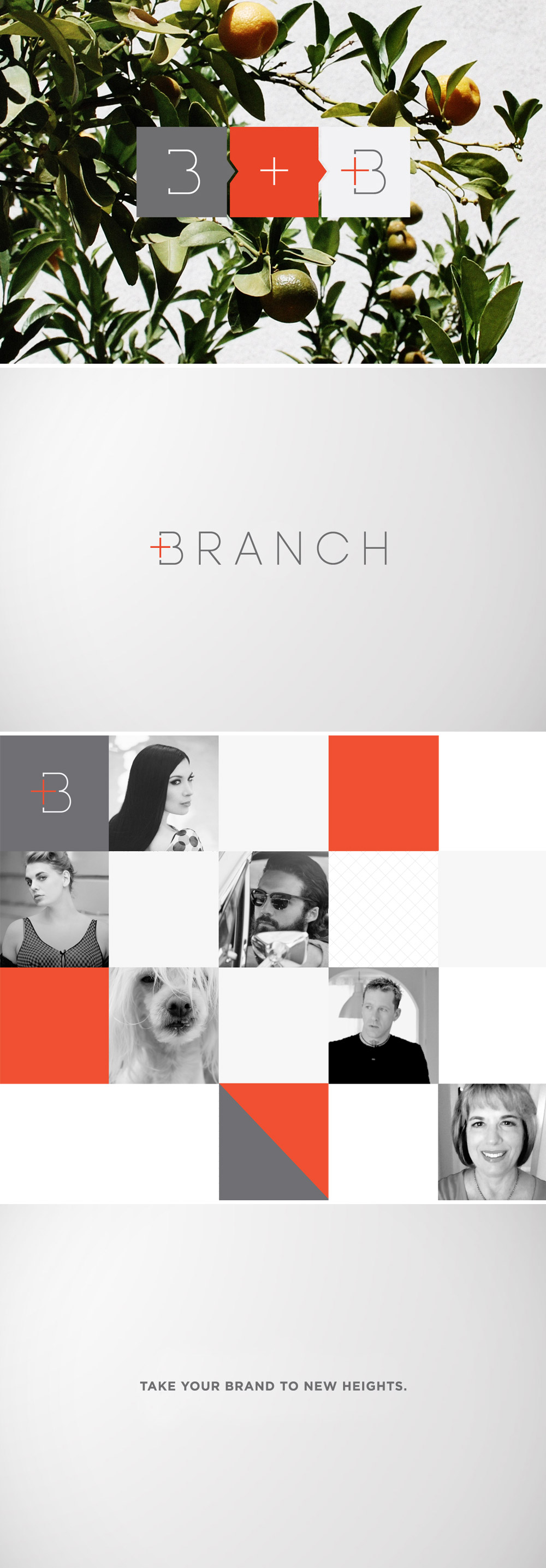 Branch | Happy Branchiversary! One Year Of Running A Design Studio Plus 5 Tips For Small Businesses