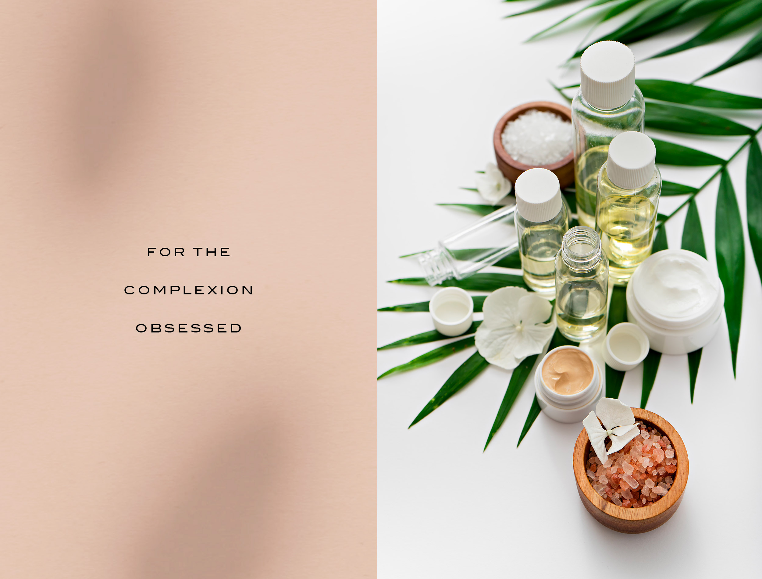 We Are Branch | Beauté Barre Skincare Studio — Branding, Collateral and Web